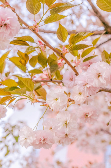 這一陣春風(fēng)，讓工職院學(xué)子為之心動