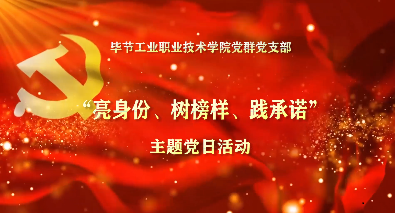 畢節(jié)工業(yè)職業(yè)技術學院黨群黨支部主題黨日活動